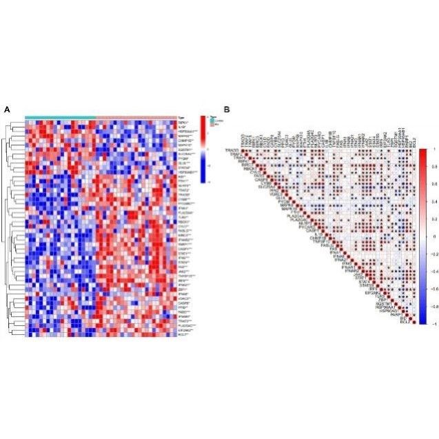医学生信分析 单细胞测序生信3-5思路 TCGA数据库挖掘KEGG,GO