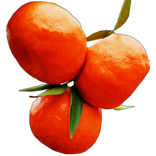 四川红橘古红桔子万州大红袍酸甜柑子孕妇水果新鲜10斤陈皮原料