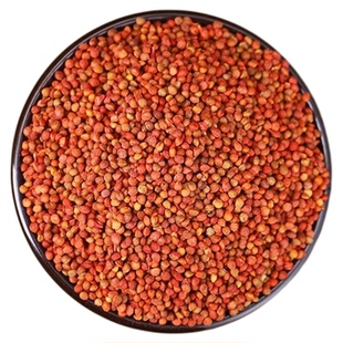 楮实子中药材正品500g野生褚实子楮实楮实籽渚实子威灵仙新货泡水