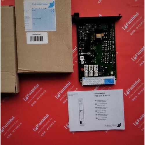 EHFTL375PF1E1恩德斯豪斯全新液位检测n