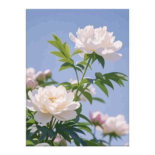 白色牡丹花卉diy数字油画画填充色唯美治愈系手工手绘丙烯装饰画