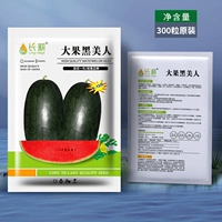 Большой фруктовый черный красавица 300 тяги с большим фруктовым типом тепло -устойчивый