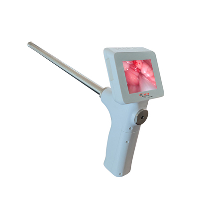 倍特双牛可视输精枪改良养殖