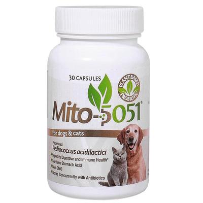 咪妥猫咪益生菌片调理肠胃