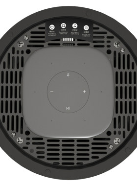 立体声吸顶音响pro2.1DSP