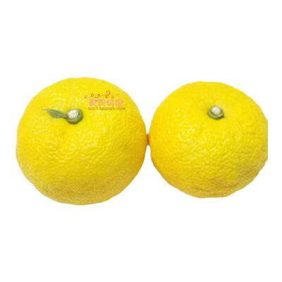 日本青柚子料理果皮新鲜当季水果调味烘焙日料咖啡yuzu国产青柚