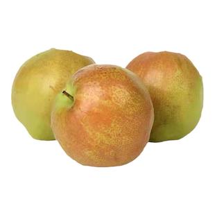 玉露香梨秋月梨正宗山西隰县小西天当季新鲜水果脆甜无渣