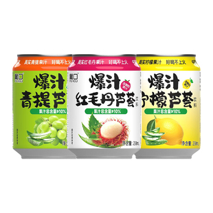 葡口果肉果汁饮料爆汁青提芦荟复合果蔬汁饮品多口味238ml*10罐