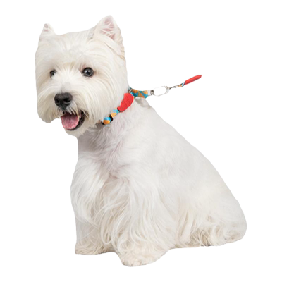 HiDREAM半P狗项圈防爆冲