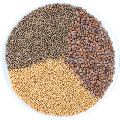 肺润咳止养生茶三子养亲汤