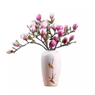 【遇水开花】水培植物白玉兰紫玉兰鲜花鲜切花带花苞室内好养绿植