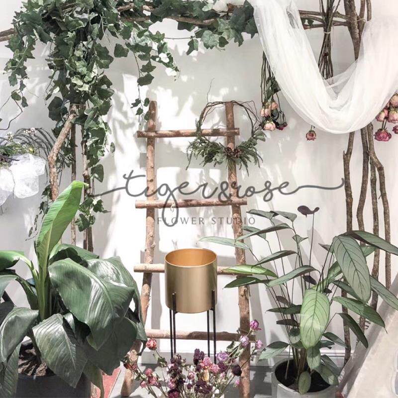 带皮实木梯子装饰品木质直梯绳梯做旧木梯摆件软梯森系风摄影道具