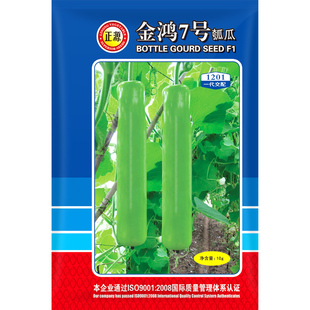 和利农 正源金鸿杂交7号瓠瓜种子长蒲瓜种籽菜葫芦小瓠子蔬菜种孑