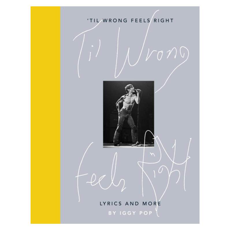 til wrong feels right : lyrics and more 直到错误变成正确 伊基波普 朋克音乐教父自传 英文原版  纯全英文正版英语书籍