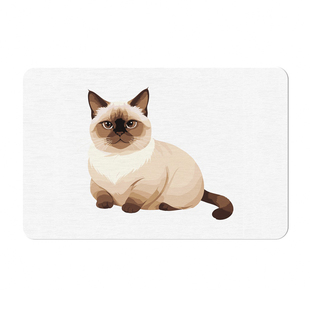 硅藻泥吸水垫硬板浴室门口防滑地垫卫生间厕所速干脚垫洗澡免擦脚