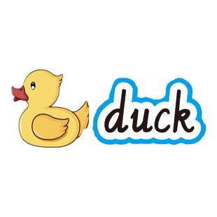 英语水果蔬菜英文单词认知闪卡片食物动物天气服装板书黑板贴教具