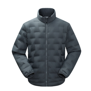 龙狮戴尔鹅绒立领轻薄羽绒衣男冬季新款保暖抗寒冲锋衣内胆羽绒服