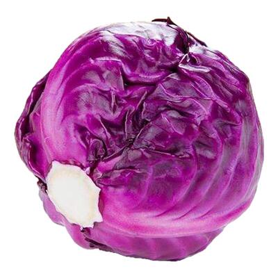 2025紫甘蓝新鲜紫包菜卷心菜包邮