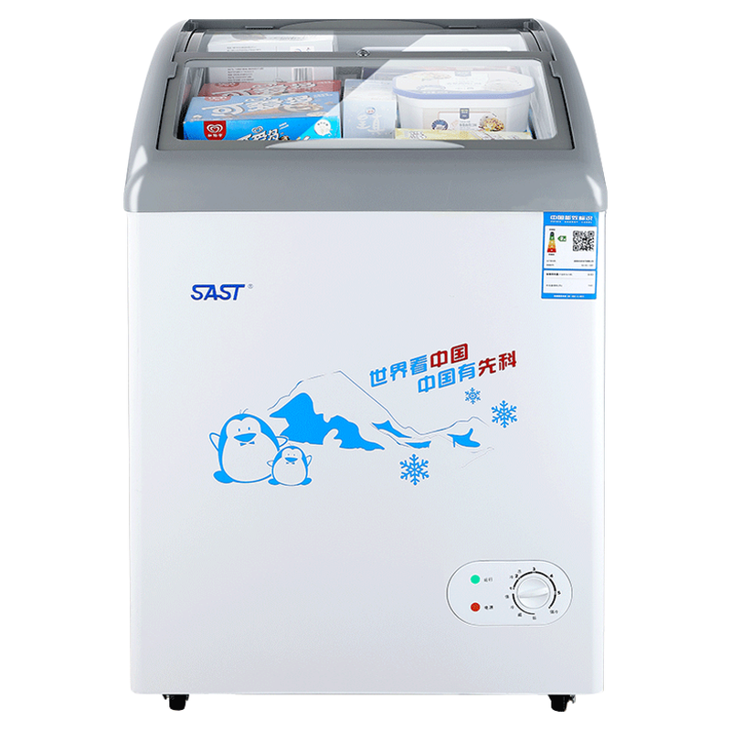 先科冷柜卧式展示冰柜雪糕柜