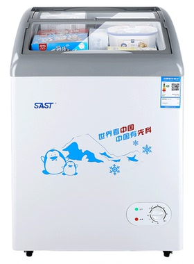 先科冷柜卧式展示冰柜雪糕柜