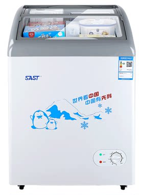 先科冷柜卧式展示冰柜雪糕柜