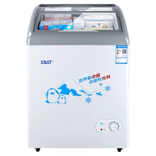 SAST/先科商用冷柜展示柜卧式冷藏冷冻雪糕柜速冻大容量圆弧冰柜