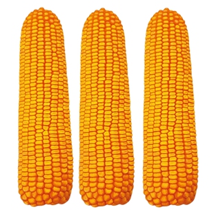 大田玉米种子郑单958正宗老品种早熟高产杂交特大棒型玉米种籽孑