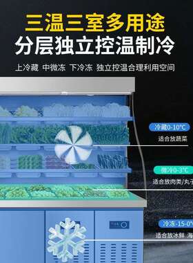 麻辣烫展示柜冷藏冷冻商用设备立式保鲜点菜串串冒菜风幕柜冰箱