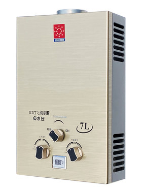 正品煤气燃气热水器天然气家用