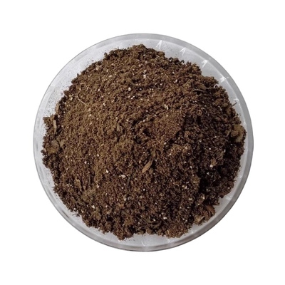 青柠金桔营养花土种植土透气