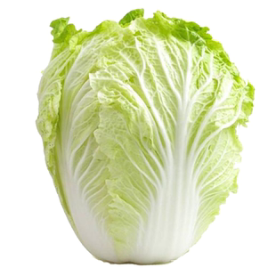 早熟大白菜种子种秋冬播耐热耐寒高产抗病包心结球农家四季蔬菜种