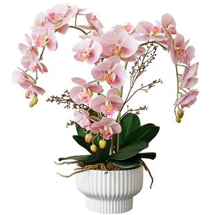 栀美家 中式仿真花蝴蝶兰盆栽带花大型 花瓶摆件客厅插花假花兰花