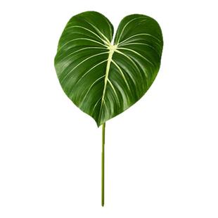 仿真火鹤蔓绿绒龟背天堂鸟叶室内橱窗网红摆放悬挂绿植造景装饰品