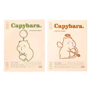 苏铁时光卡皮巴拉活页本水豚居居不硌手B5简约笔记本抽拉夹可拆卸笔记本子可爱少女心活页纸学生活页夹外壳