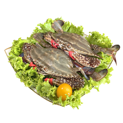 丹东大飞蟹老东沟满黄包肥大母蟹