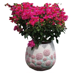 匠心坊庭院造景户外花箱天台大花盆阳台种植箱别墅花园花池摆件