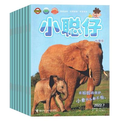 全年订阅小聪仔科普杂志