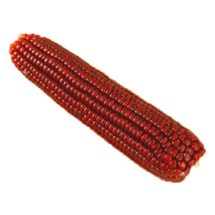 宠尚天仓鼠零食玉米磨牙棒金丝熊营养粮食大礼包专用装饰造景用品