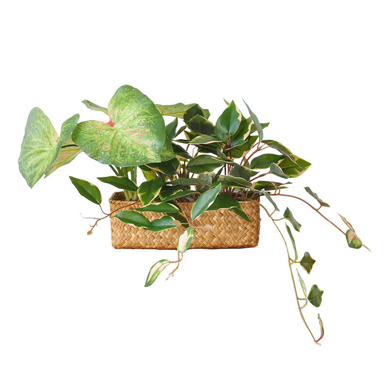 九思仿真植物垂吊隔板柜子花艺