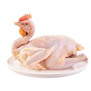 农贝贝土鸡农家散养正宗走地三黄鸡广西老品种新鲜现杀整只发顺丰