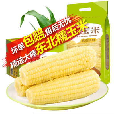 谷田记东北白糯玉米产地直发