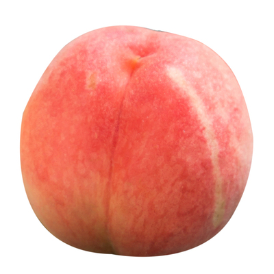 【产地直发】桃子树苗