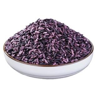 云南墨江紫米当季新米正宗血糯米煮粥酒酿麻薯饭团专用紫糯米黑米