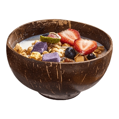 日本ins风酸奶椰子碗天然椰壳