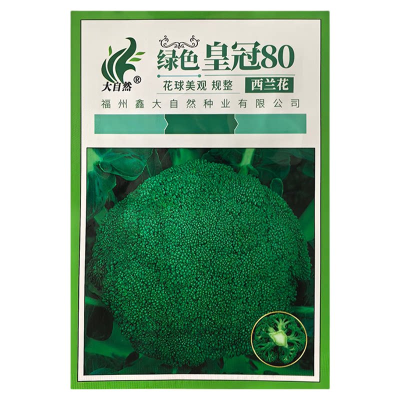西兰花种子绿色皇冠80天青花菜绿花菜西蓝花蔬菜种籽高产中熟四季