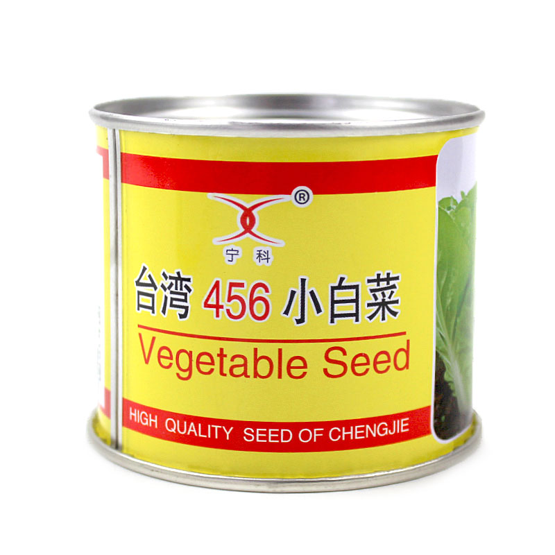 台湾456小白菜种籽早熟抗病秋季