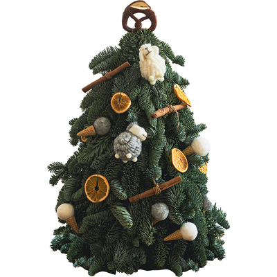 进口诺贝松圣诞树真树圣诞节装饰