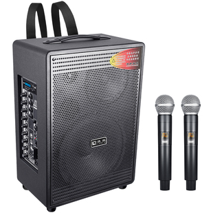 浪麒103便携户外唱歌音响带无线话筒k歌广场舞大功率音箱设备全套