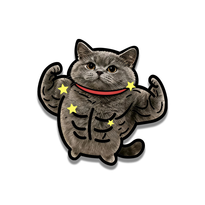 肌肉蓝猫卡通宠物车身玻璃车贴