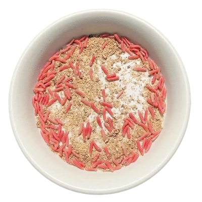 浓腥红蛆虫活虫钓鱼活体饵苍蝇宝宝鱼饵肉蛆鲫鱼溪鱼钓饵牙子红虫